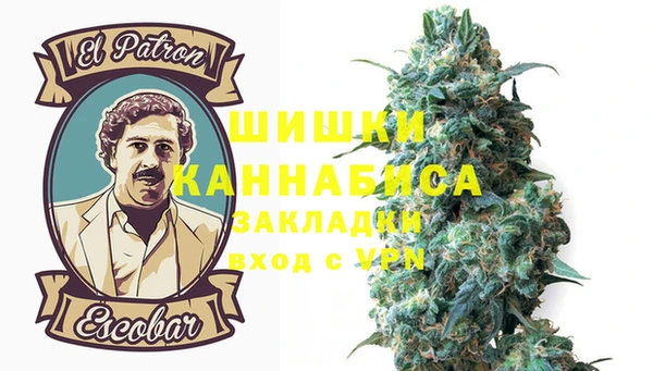 сатива Михайлов