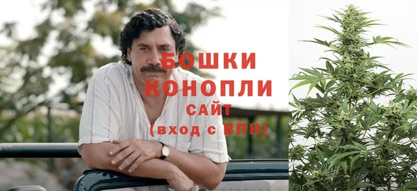 сатива Михайлов
