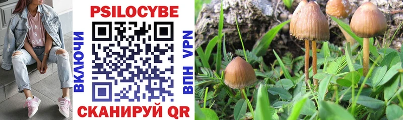 Галлюциногенные грибы MAGIC MUSHROOMS  Томск 