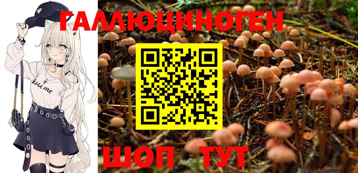 Томск  Галлюциногенные грибы ЛСД  Вход с VPN  Псилоцибиновые грибы Cubensis 