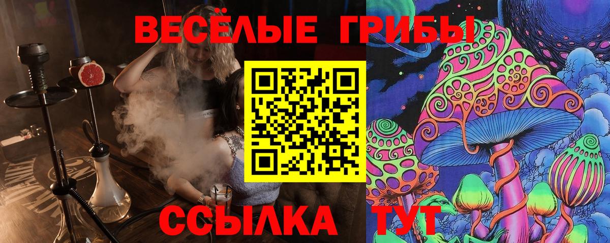 Галлюциногенные грибы прущие грибы  Томск  продажа наркотиков  Псилоцибиновые грибы мицелий 