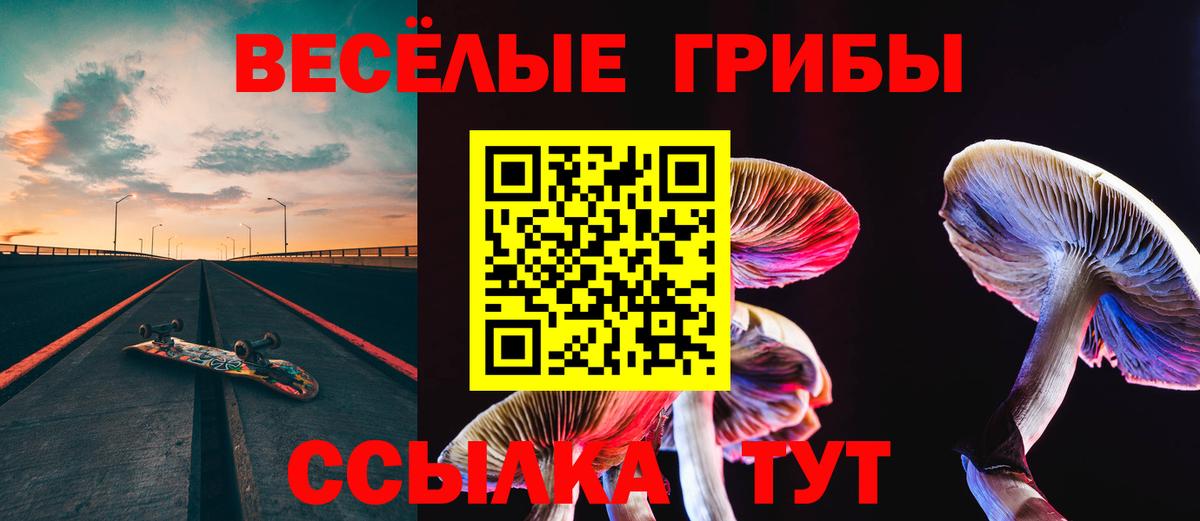 Псилоцибиновые грибы Magic Shrooms Томск